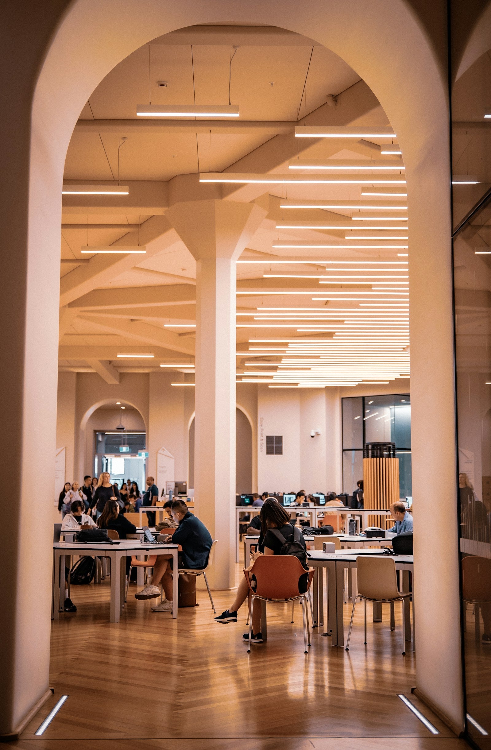Postgraduate student working in a large study library