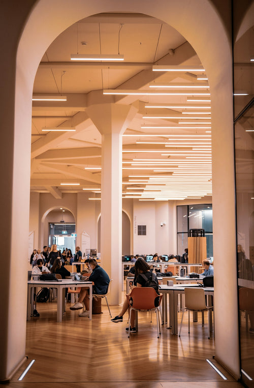 Postgraduate student working in a large study library