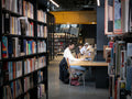 Undergraduate student studying in a modern library
