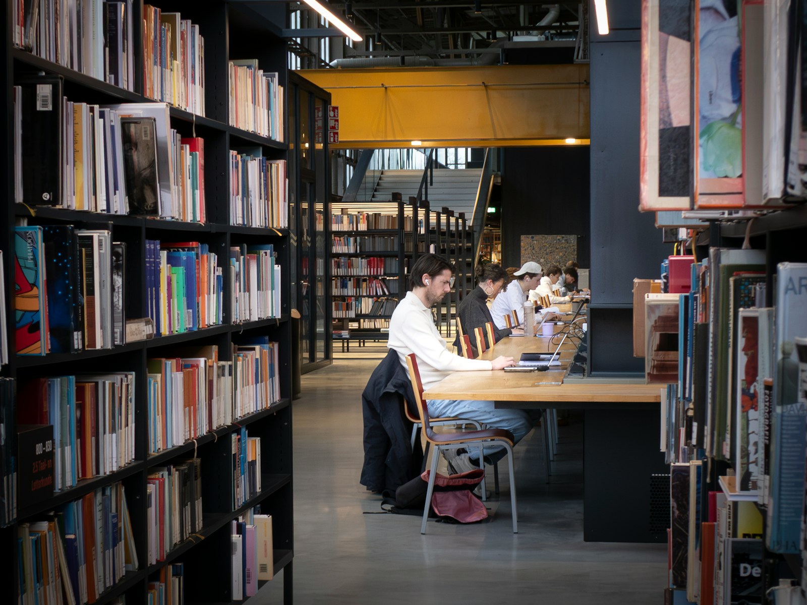 Undergraduate student studying in a modern library
